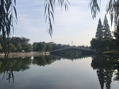 -莱西月湖公园