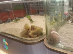 -meland亲子乐园•派对•研学(苏州悠方购物中心店)