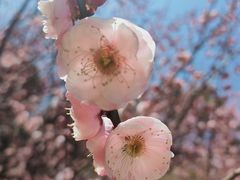 -白塘生态植物园