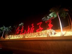 -三亚红色娘子军演艺公园景区