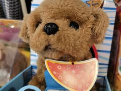 -酷乐潮玩(金桥国际店)