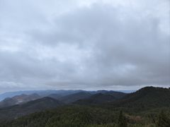 -武陵山森林公园