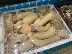 活沙蒜-健眺小海鲜(临海后山店)