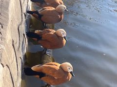 -北京市海淀外国语实验学校