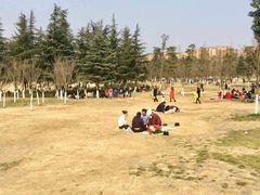 -白鹭湾湿地公园