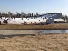 -绿野森林乐园冰雪季