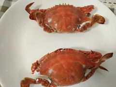 -烁佳海鲜大馅饺子