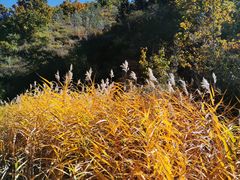 -仙居谷风景区