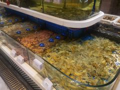 -大众海鲜(巨龙北路店)