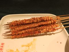 -红柳枝滩羊烧烤·非遗