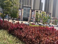 -星光耀广场(安吉路店)