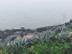 -漳州滨海火山岛自然生态风景区