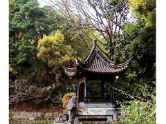 -深圳国际园林花卉博览园