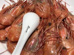 白灼斑点虾-凯悦酒家