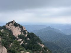 -六里坪国家森林公园