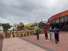 -美国村