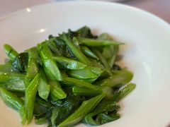 清炒菜心-月福京味斋·烤鸭店·北京菜(鼓楼总店)