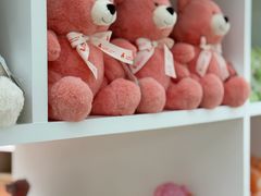 -济州岛泰迪熊博物馆