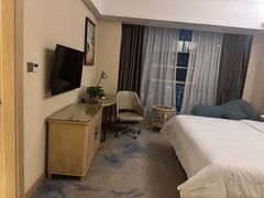 -维也纳酒店(重庆西站巴国城店)