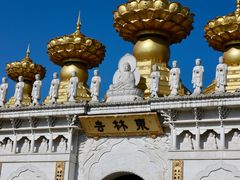 -上海东林寺(金山区)