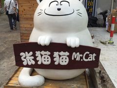 -张猫猫爱吃鱼