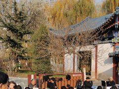 -雁滩公园