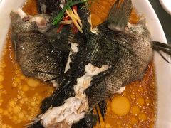 -老正兴菜馆(福州路店)