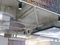 -探窝·竹笙椰子鸡(杨箕店)