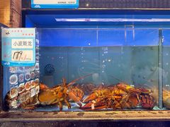 -渔傅印象滩涂霞浦海鲜(井大路店)