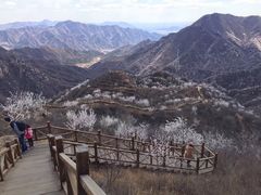 -大岭沟猕猴桃谷风景区