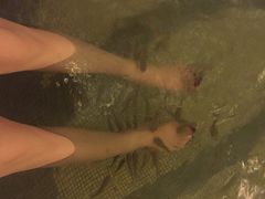 -中旅阿那亚九龙湖·公主酒店