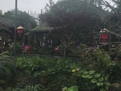 -青城甲(青城山店)