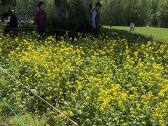 -长白岛森林公园