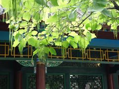 -张学良旧居陈列馆