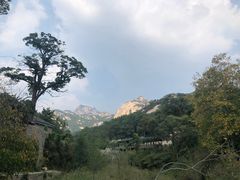 -无染寺