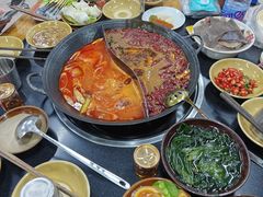 -谭记重庆老火锅(总店)
