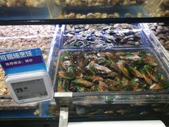 青口-盒马鲜生(曜一城店)