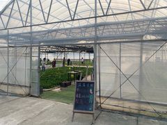 -栖露营camping·天幕烧烤·团建拓展·采摘营地