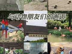 -上海野生动物园
