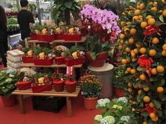 -爱雍·乌节