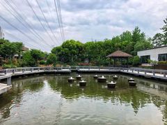 -渔堂公园餐厅·本帮菜(乐园路店)
