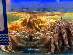 -驻海渔市(置信店)