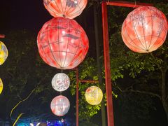 -广西壮族自治区药用植物园