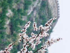 -居庸关长城