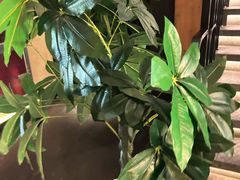 -新紫霞养生·影院足道·SPA(金山区店)