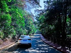 -广州市石门国家森林公园