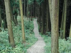 -太阳湾风景区