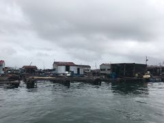 -蓝湾碧波·老字号·疍家非遗海上餐厅