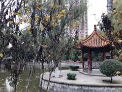 -西安市纺织公园