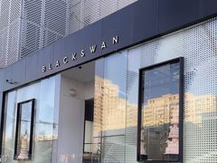 -BLACKSWAN黑天鹅(环球店)